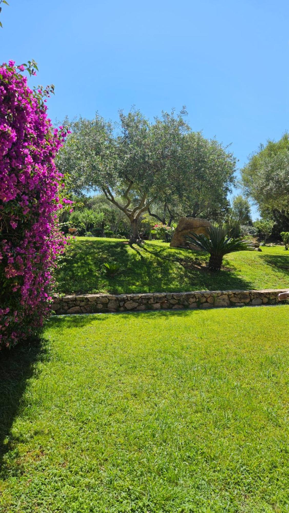Residenze Coda Cavallo San Teodoro  Exterior foto
